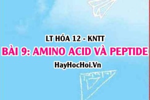 Tính chất hóa học, vật lí của Amino acid và Peptide, khái niệm, danh pháp, đặc điểm cấu tạo? Hóa 12 bài 9 KNTT